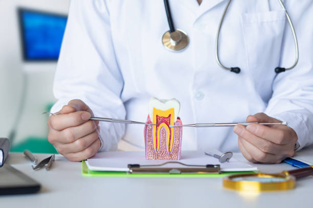 Best Pediatric Emergency Dentist in Scottville, MI